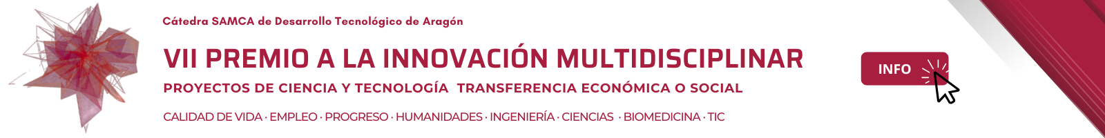 19 becas